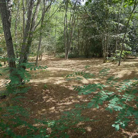 Au Bout Du Chemin Holiday home Milly-la-Foret